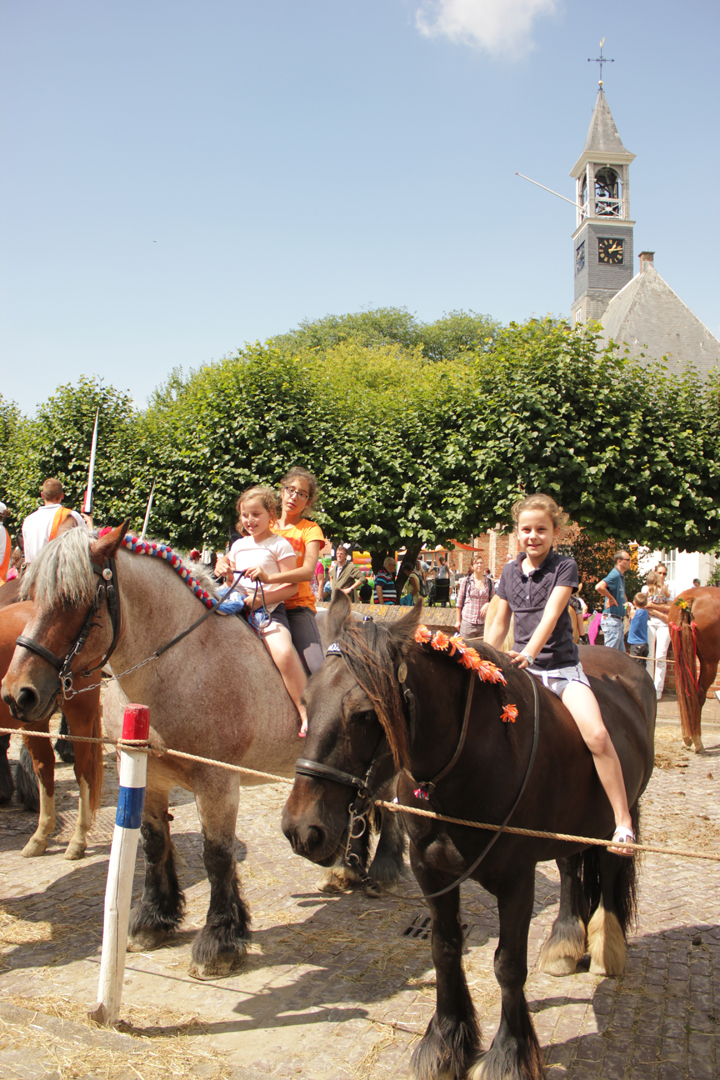 Paarden passen bij Ringrijden in Koudekerke