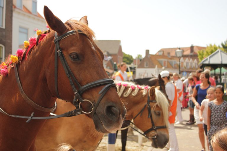 Versierde paarden bij Ringrijden