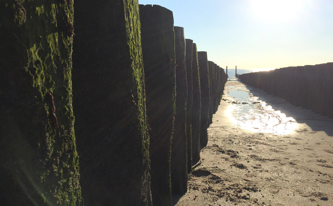 Zeeuwse kust strand strandpalen ZeeuwsenZO