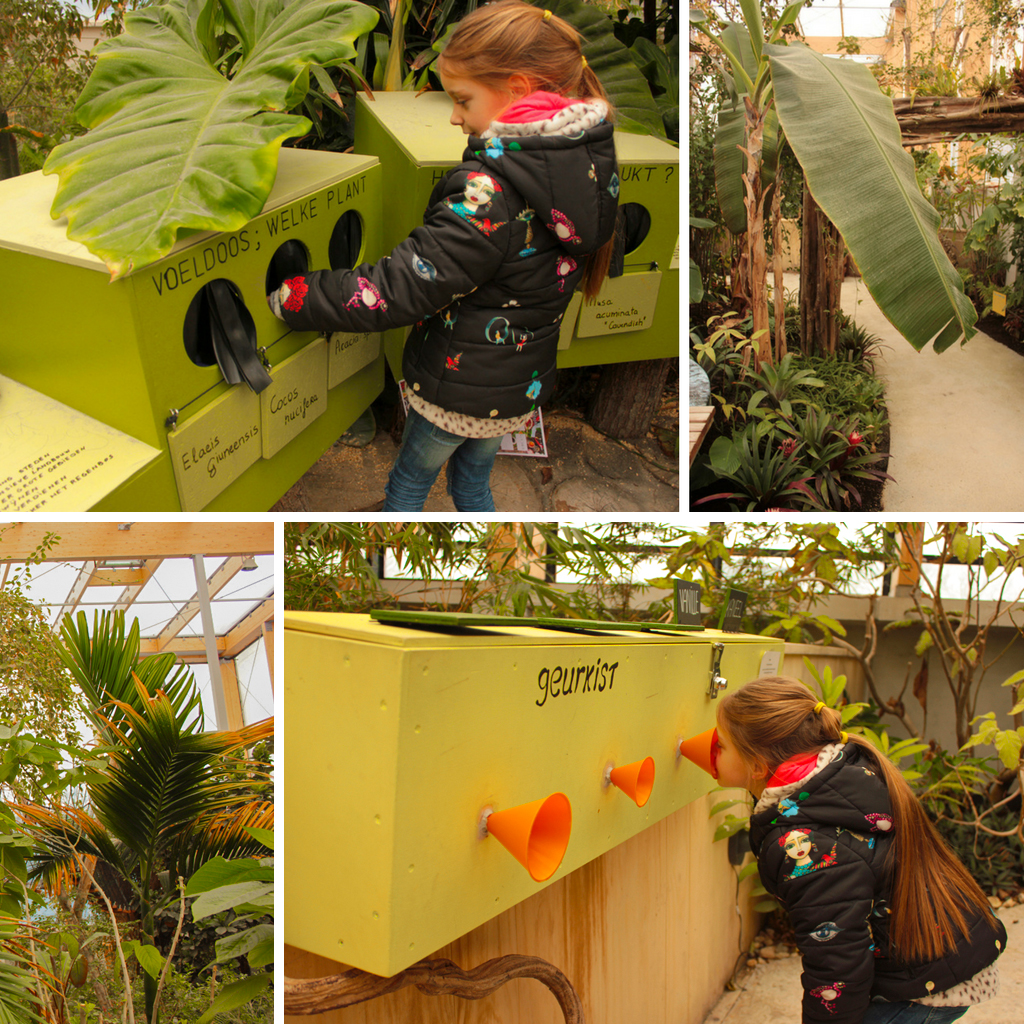 Uitje Kinderen Tropisch Bos