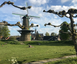 5 aanraders in de gemeente Hulst!