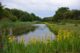 Natuurgebied Oranjezon